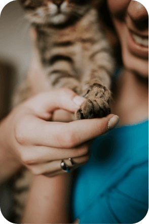 A woman carrying a cat and holding its paws with one hand.