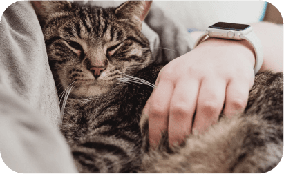 A cat sleeping on top of a woman